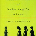 The Secret Lives of Baba Segi's Wives by Lola Shoneyin