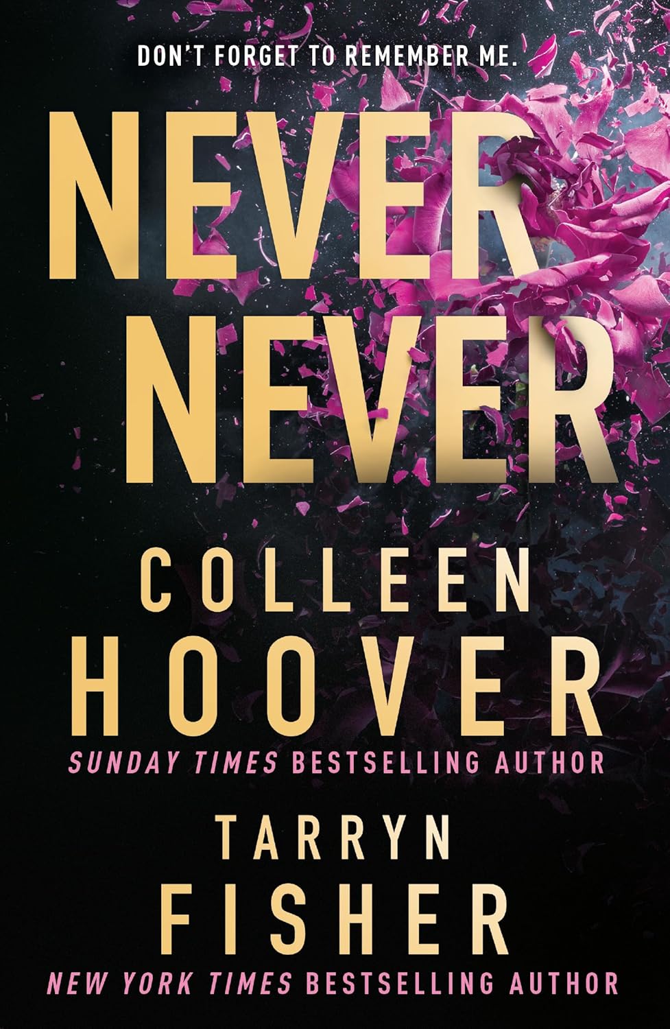 Never Never by  Colleen Hoover