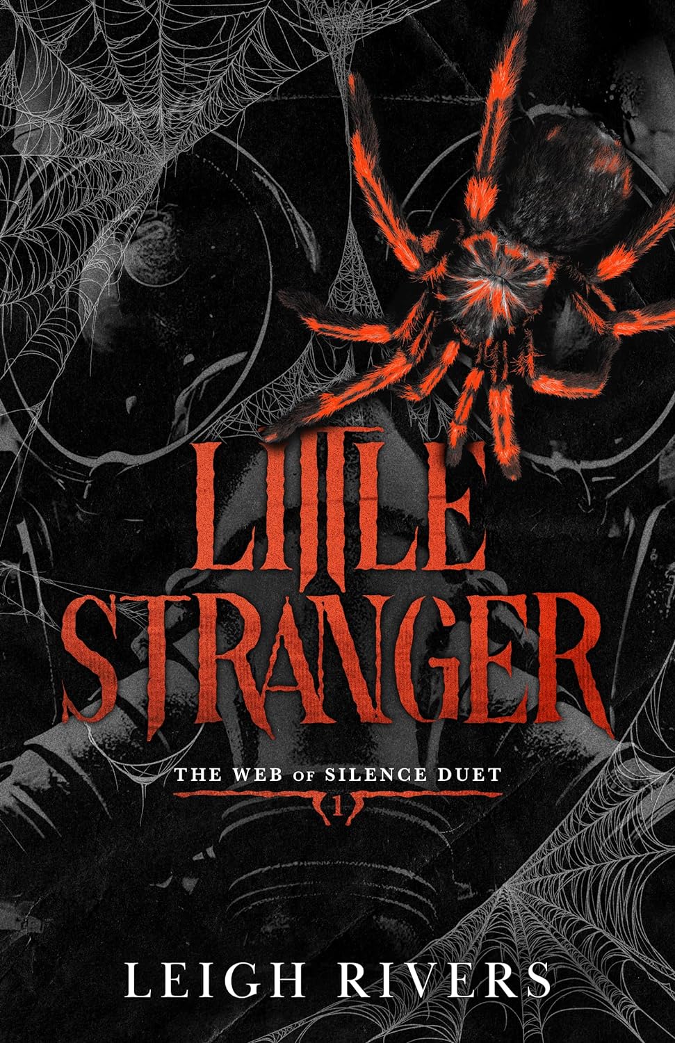 Little Stranger by   Leigh Rivers