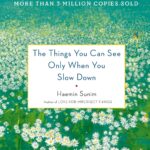 The Things You Can See Only When You Slow Down by Haemin Sunim